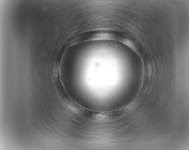 X0000071830180200607072219