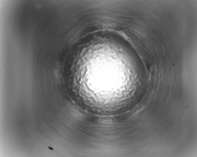 X0000071830181200607072219