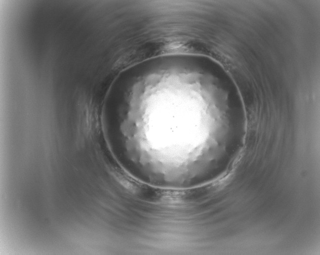 X0000071830182200607072219