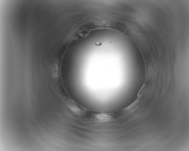 X0000071830183200607072219