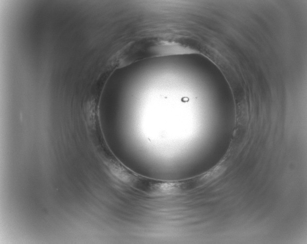 X0000071830184200607072219