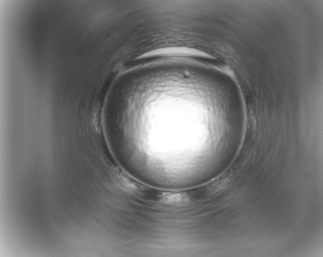 X0000071830185200607072219