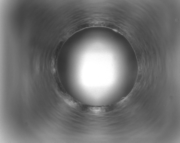 X0000071830187200607072219