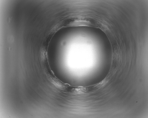 X0000071830188200607072219