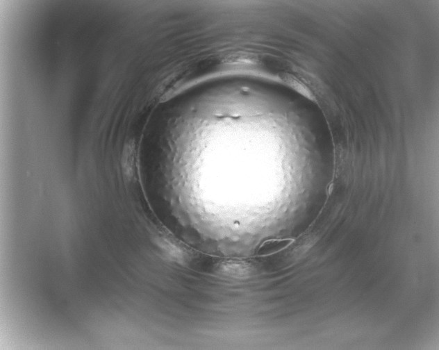 X0000071830189200607072219