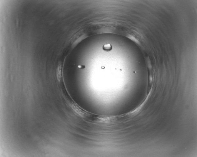 X0000071830190200607072219