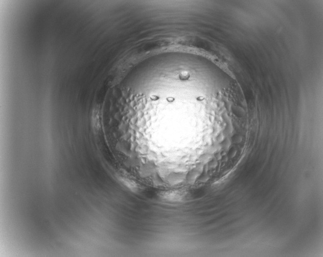 X0000071830191200607072219