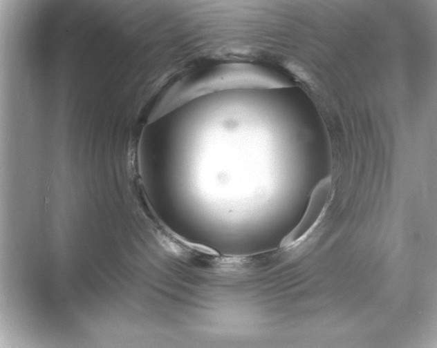 X0000071830192200607072219