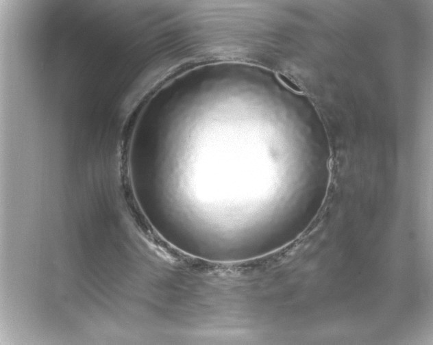 X0000071830194200607072218