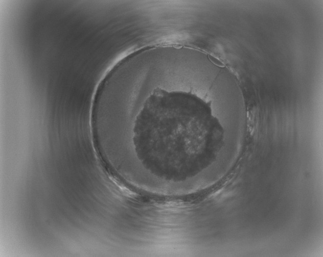 X0000071830196200607072218