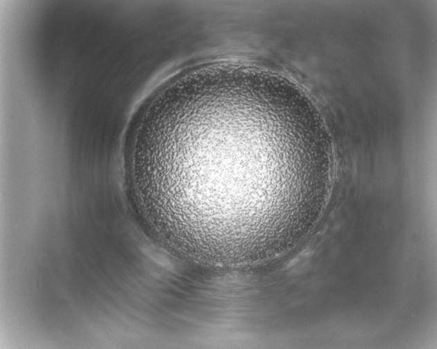 X0000071830198200607072218