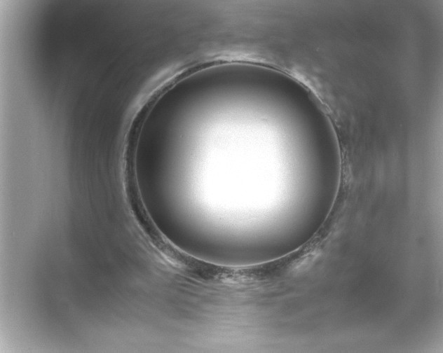 X0000071830199200607072218