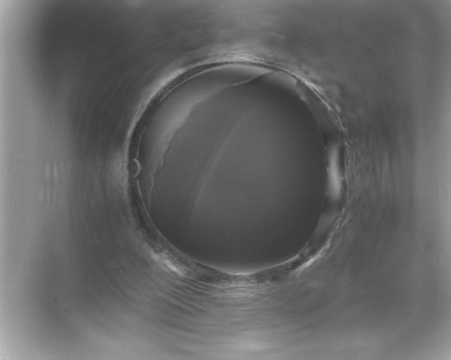 X0000071830200200607072218