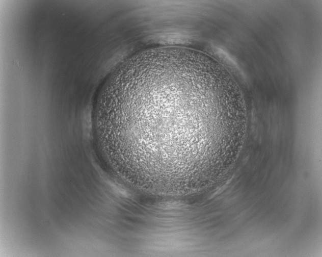 X0000071830202200607072218