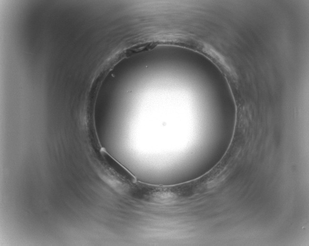 X0000071830203200607072218