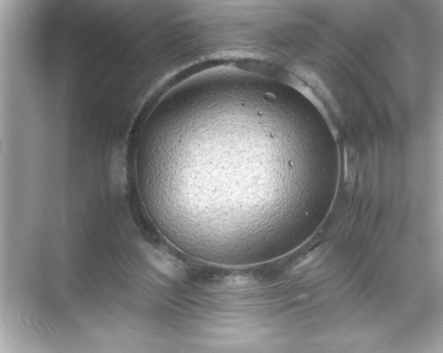 X0000071830204200607072218