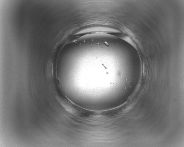 X0000071830205200607072218