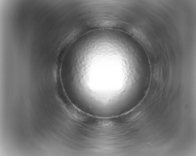 X0000071830206200607072218