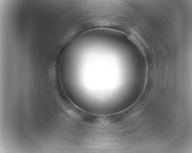 X0000071830207200607072218