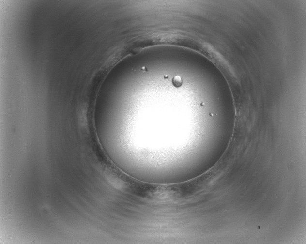 X0000071830209200607072218