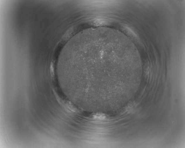 X0000071830214200607072218