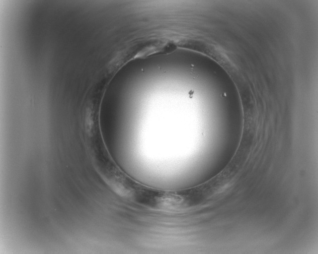 X0000071830215200607072218