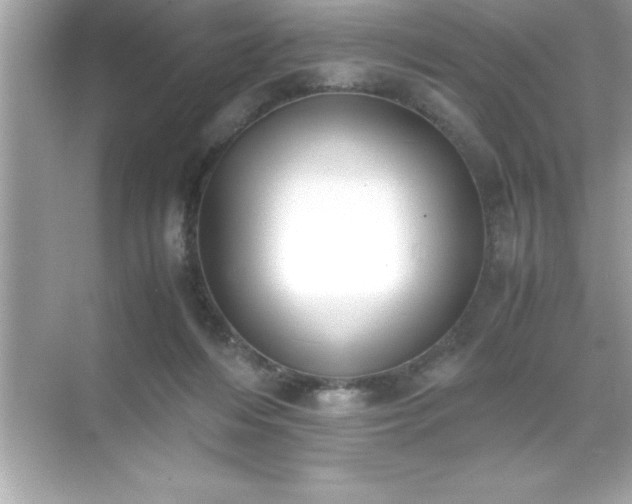 X0000071830216200607072218