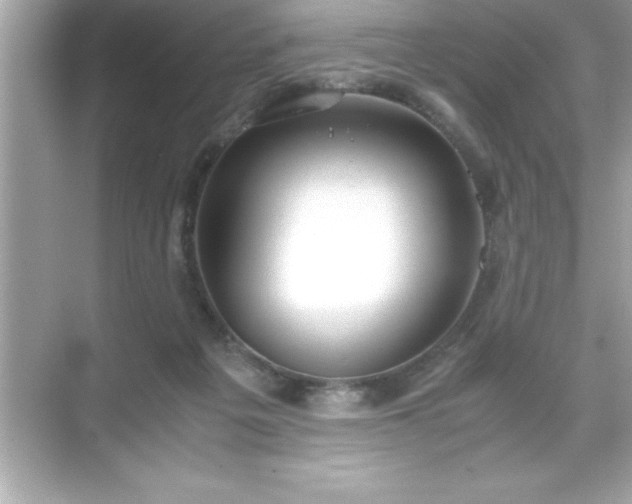 X0000071830217200607072218