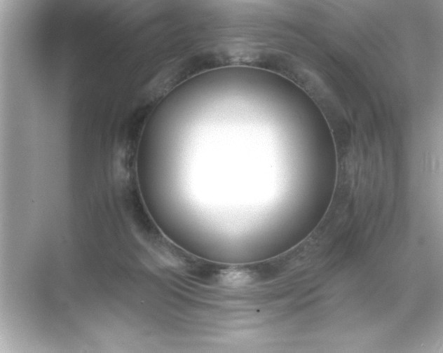 X0000071830218200607072218