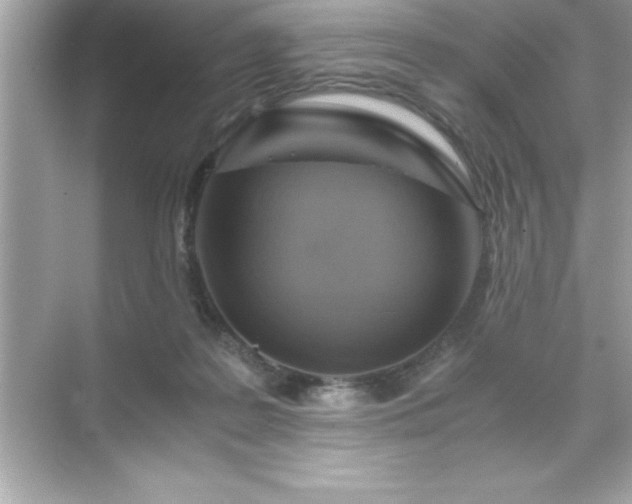 X0000071830219200607072218