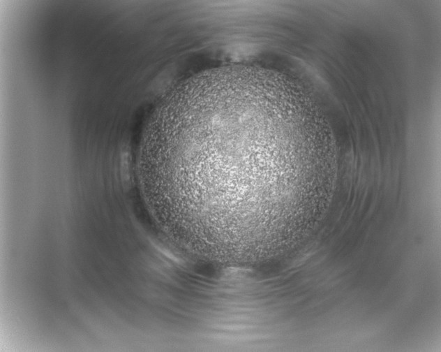 X0000071830222200607072218