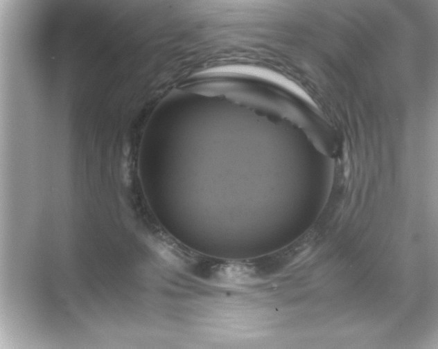 X0000071830223200607072218