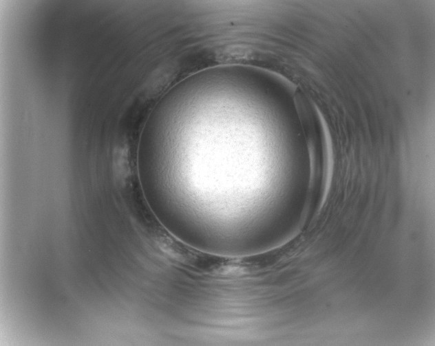 X0000071830224200607072218