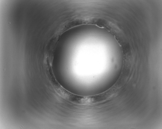 X0000071830225200607072218