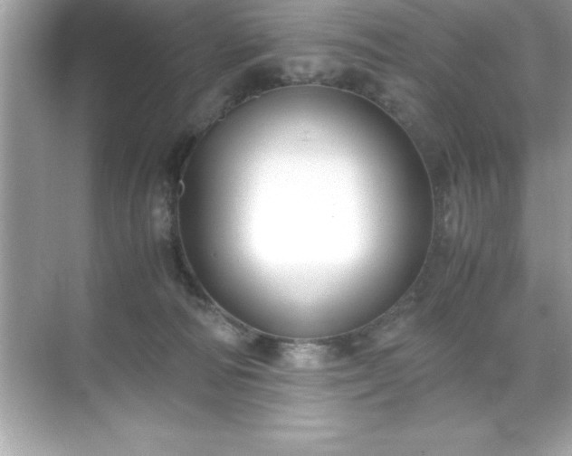 X0000071830226200607072218