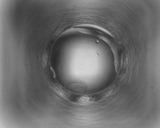 X0000071830227200607072218