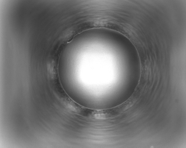 X0000071830228200607072218