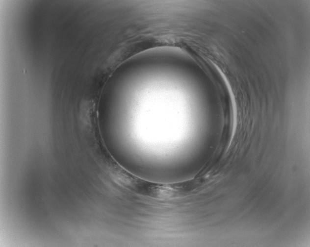 X0000071830229200607072218