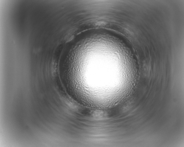 X0000071830230200607072218