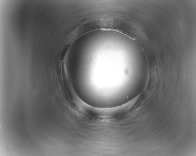 X0000071830233200607072218