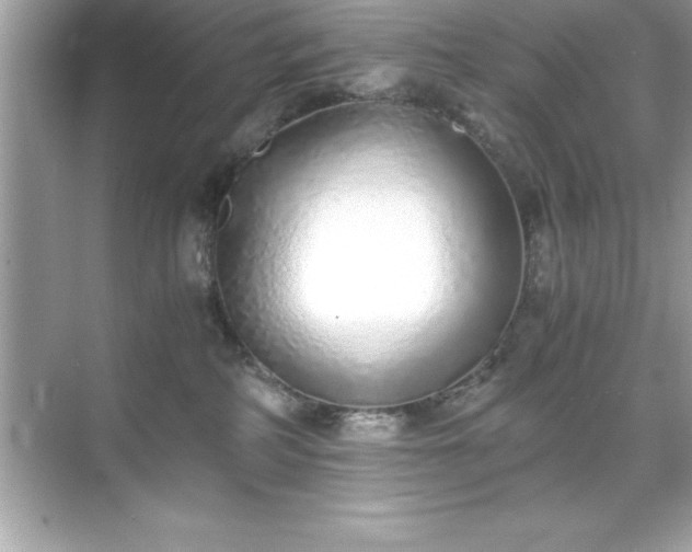 X0000071830234200607072218