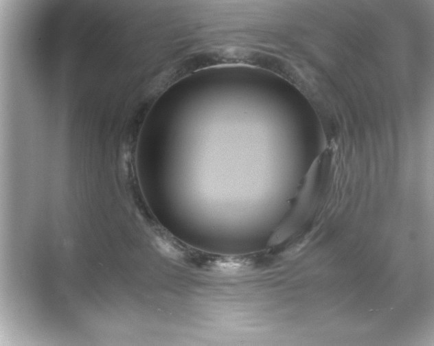 X0000071830235200607072218