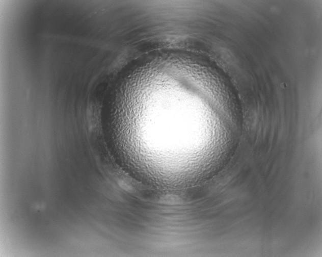 X0000071830236200607072218