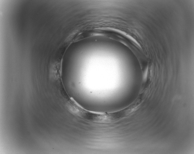 X0000071830237200607072218