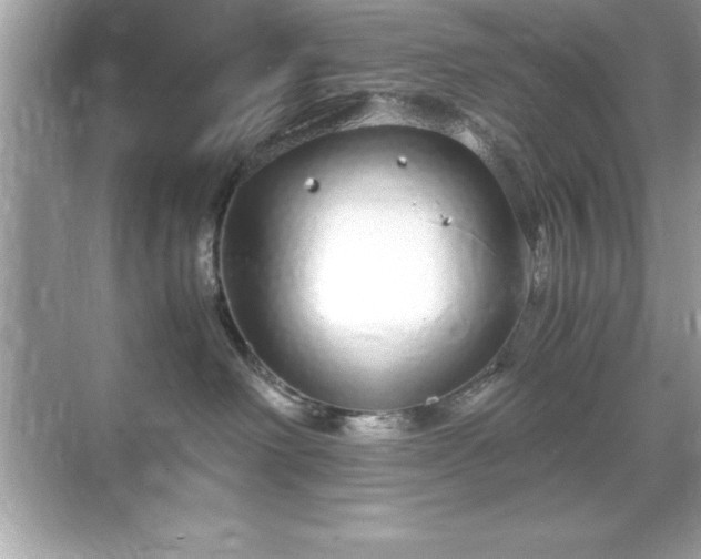 X0000071830238200607072218