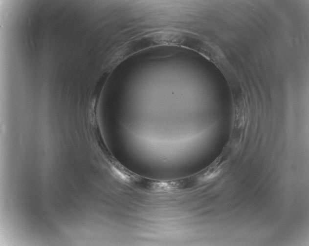 X0000071830239200607072218