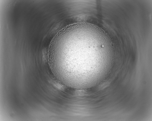 X0000071830240200607072218