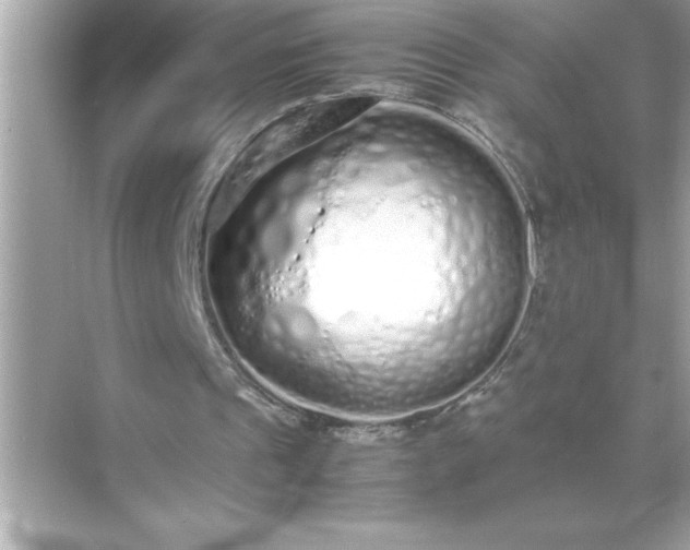 X0000071830241200607072217