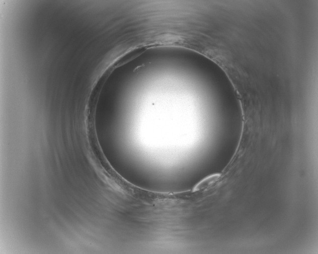 X0000071830242200607072217