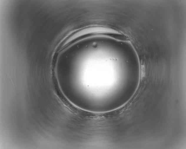 X0000071830243200607072217